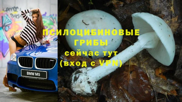 каннабис Горнозаводск