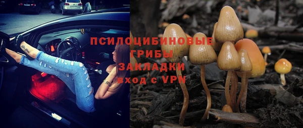 прущая мука Горно-Алтайск