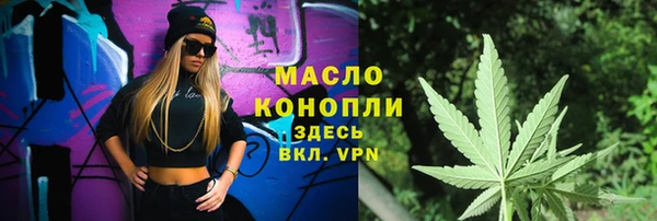 молекула духа Вяземский