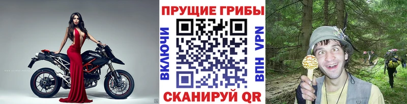 Галлюциногенные грибы GOLDEN TEACHER  Купить  Малмыж 